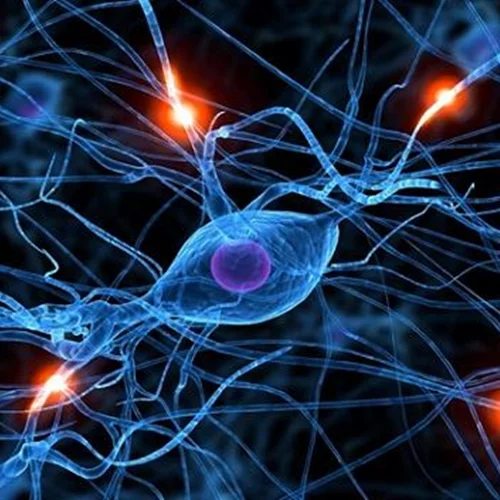 آموزش شبکه عصبی مصنوعی به همراه تشریح کامل مسائل